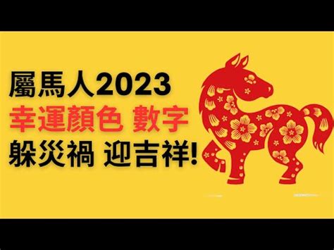 屬馬幸運數字|最全面！十二生肖屬性幸運數字和幸運色都在這了